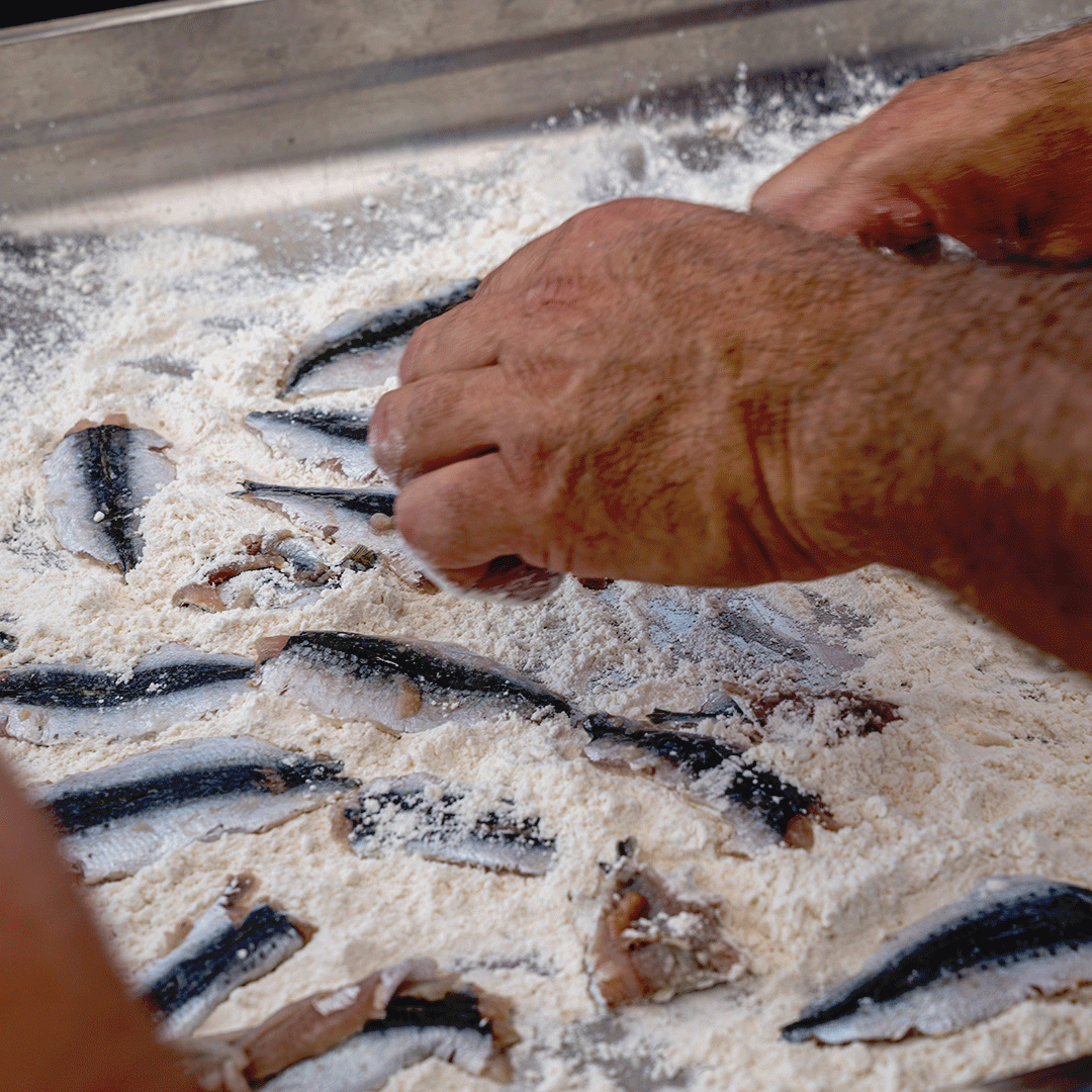sardine